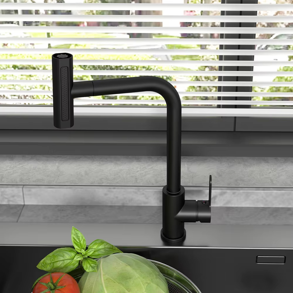 Keran Dapur Tarik Hitam Fleksi - Commercial Kitchen Mixer Tap ulasan dan harga