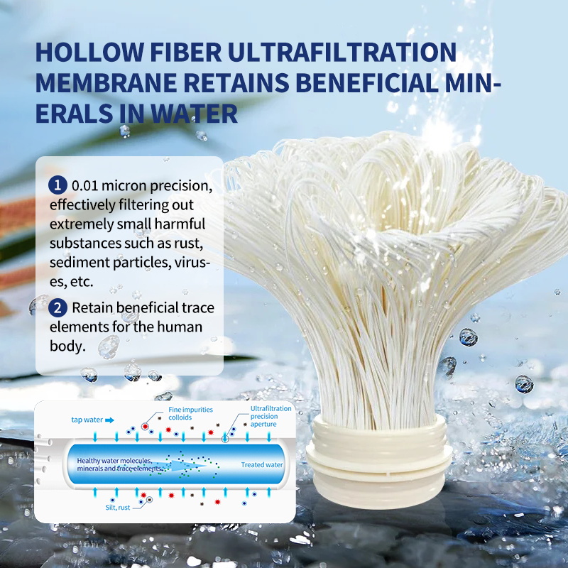 Sistem Filter Air PVDF yang Da - Commercial Kitchen Water Filter ulasan dan harga